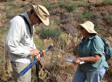 Photo of people sampling vegetation